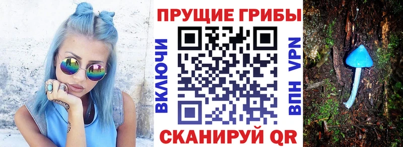 Купить где  Владимир  Галлюциногенные грибы Magic Shrooms 
