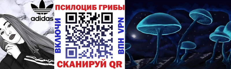 Галлюциногенные грибы Cubensis Владимир